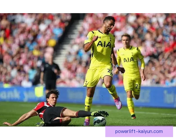 布莱顿中场组织表现稳健，球队战术执行力持续提升